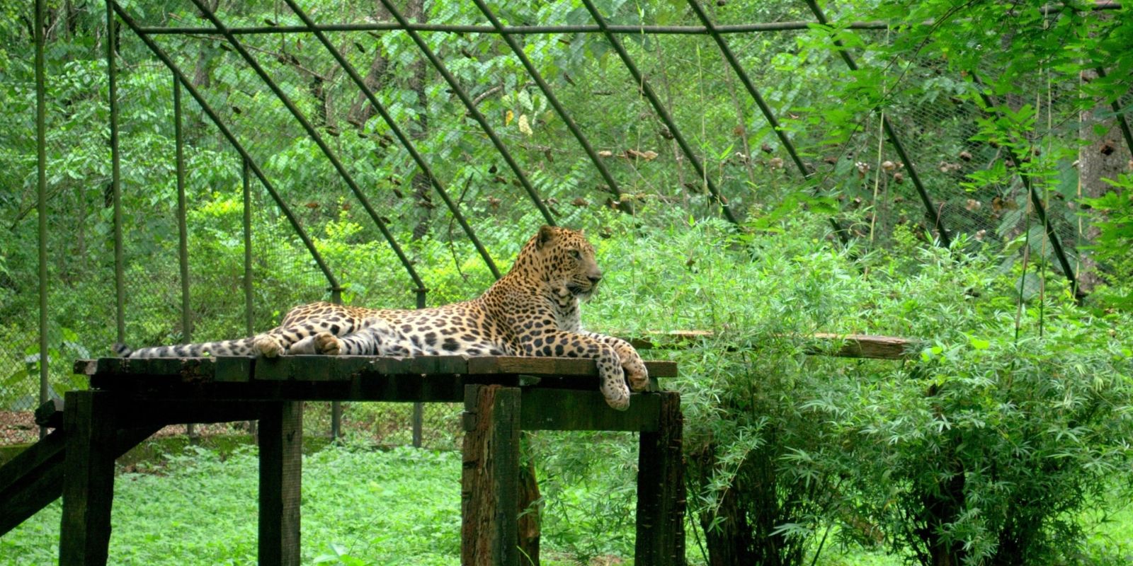 South Goa : Dudhsagar Waterfall and Bondla Zoo Tour