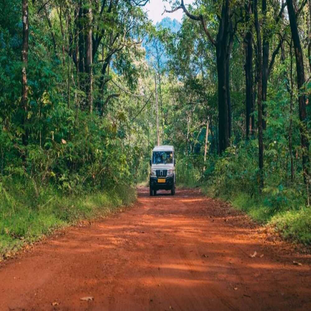 South Goa : Dudhsagar Waterfall and Bondla Zoo Tour