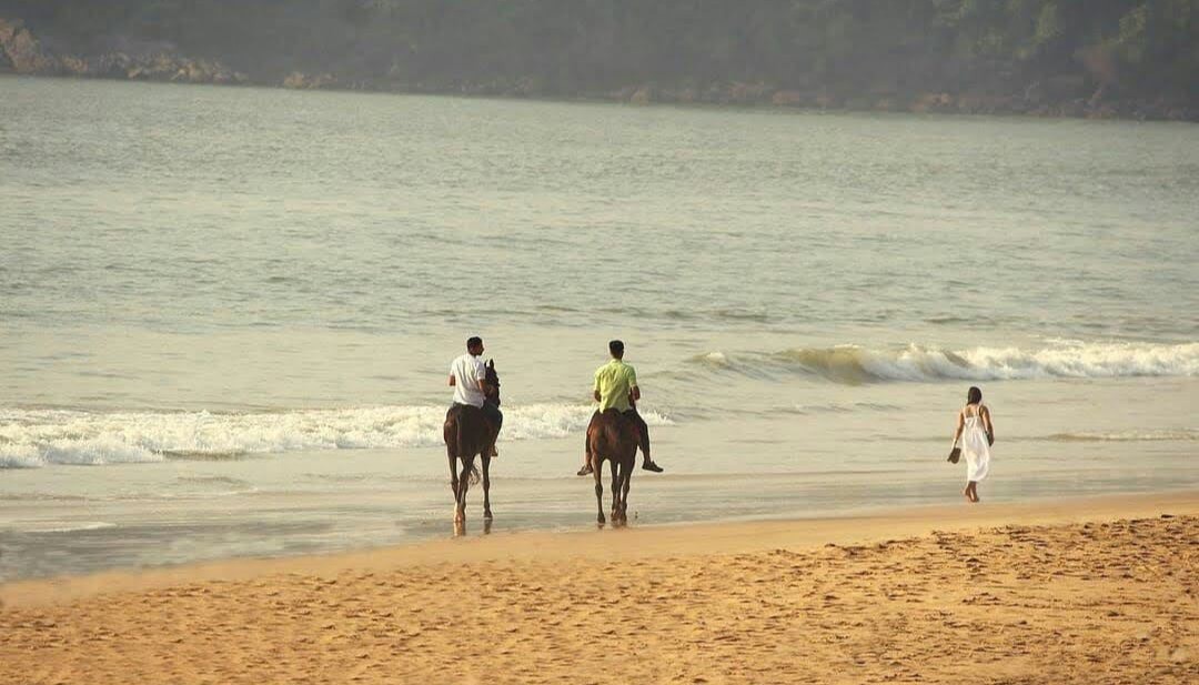 Horse Riding at Agonda Beach (1 Hour)