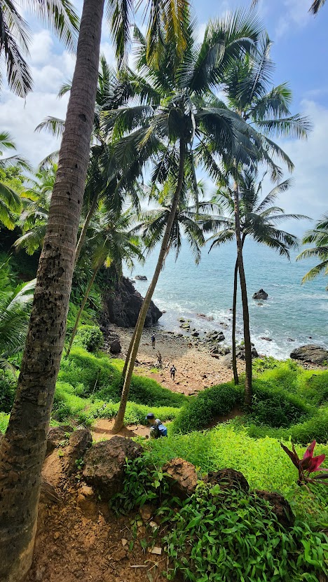 South Goa : Ocean Trek Fortaleza Cabo