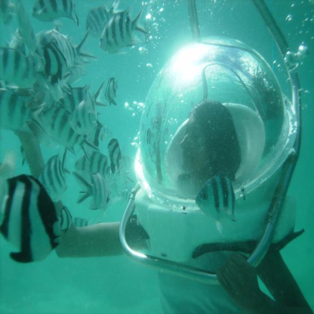 South Goa : Seawalk Experience