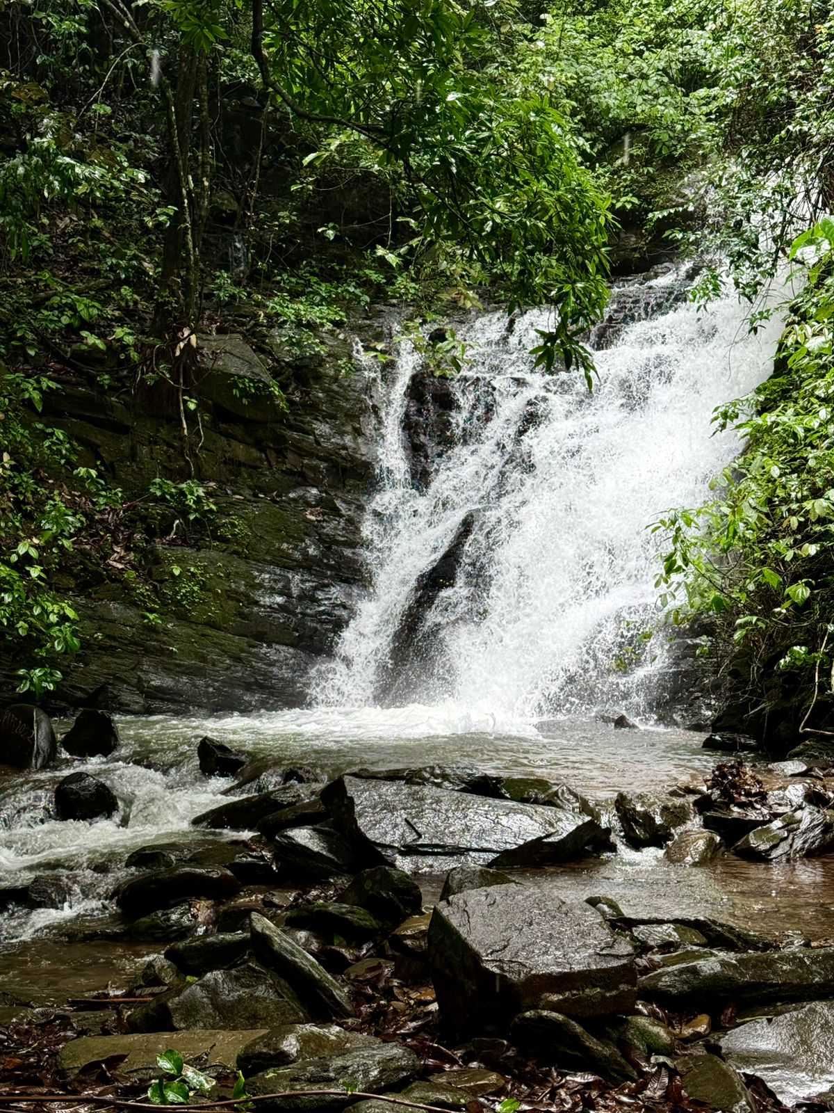 North Goa : Pali & Shivling Waterfall Trek