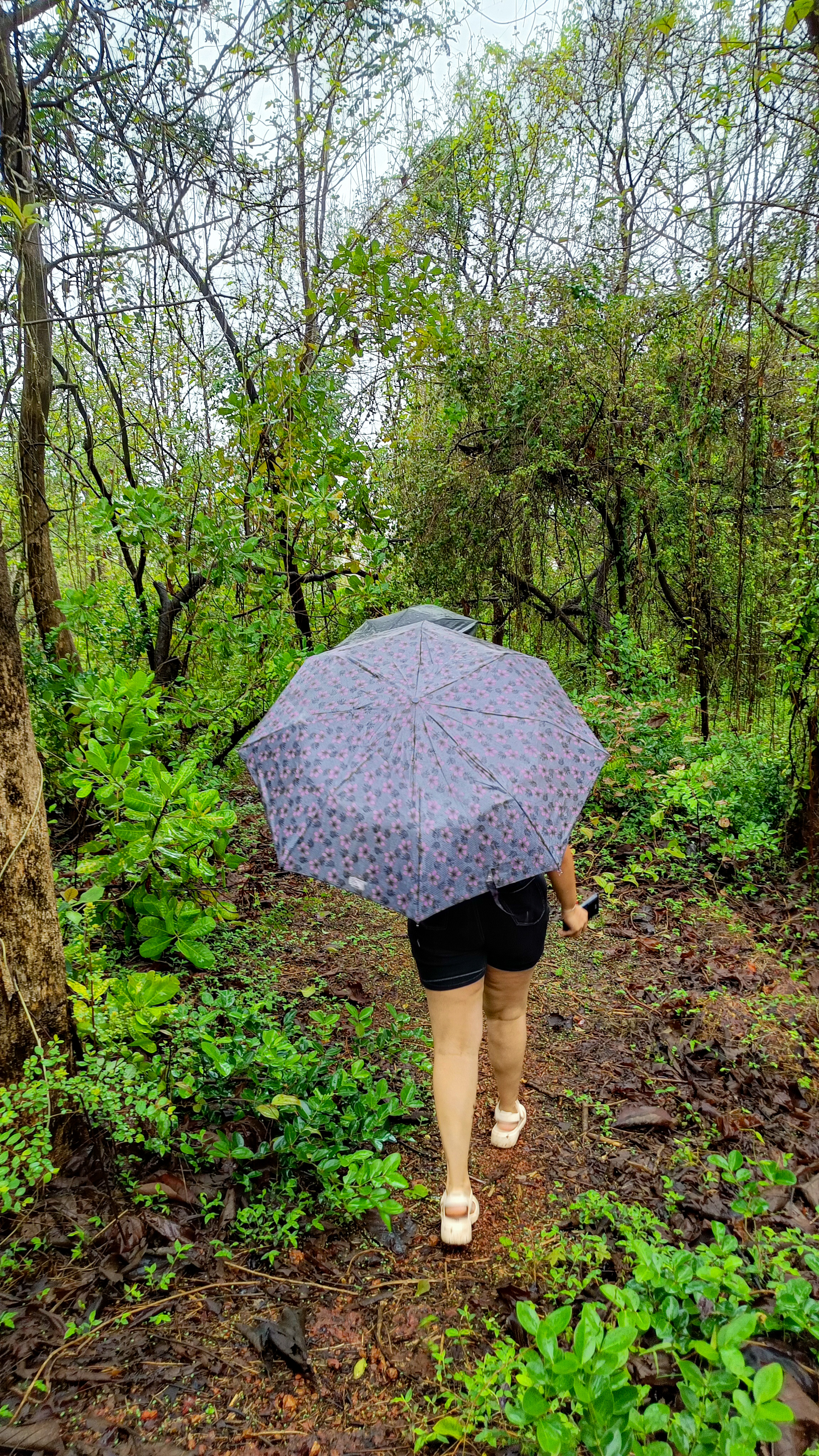 North Goa : Echoes of Chorao - Island Stories & Heritage Tour