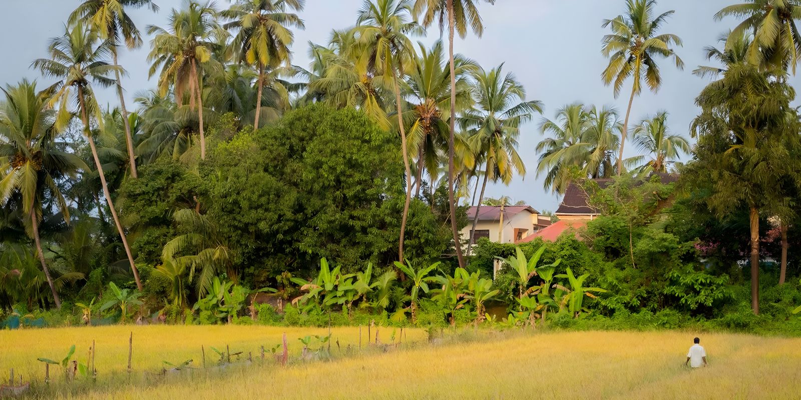 North Goa : Saligao Village Saunter