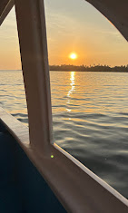 North Goa : Dolphin Spotting