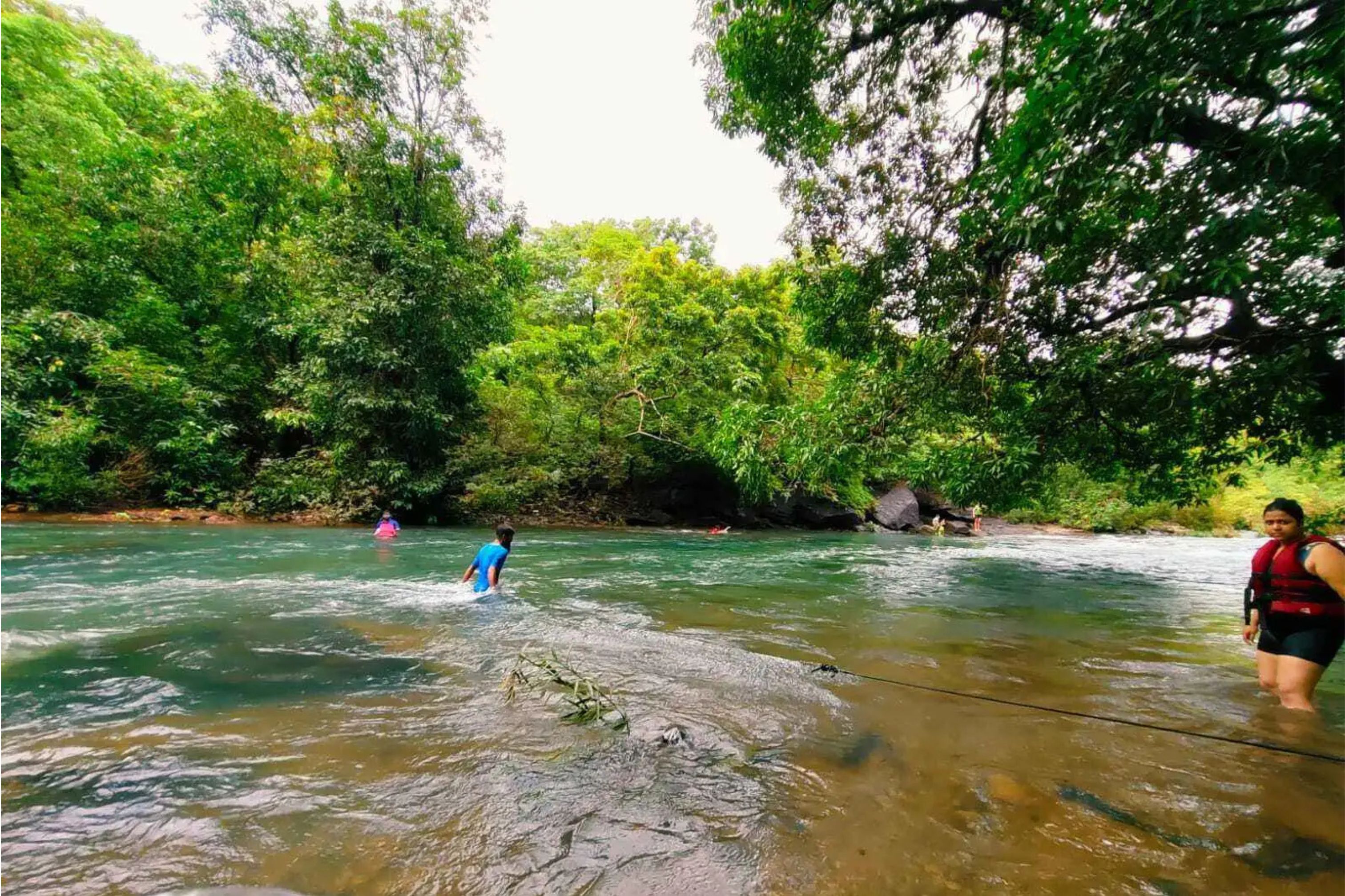 North Goa Rannatli Vari : Woodland Waterways