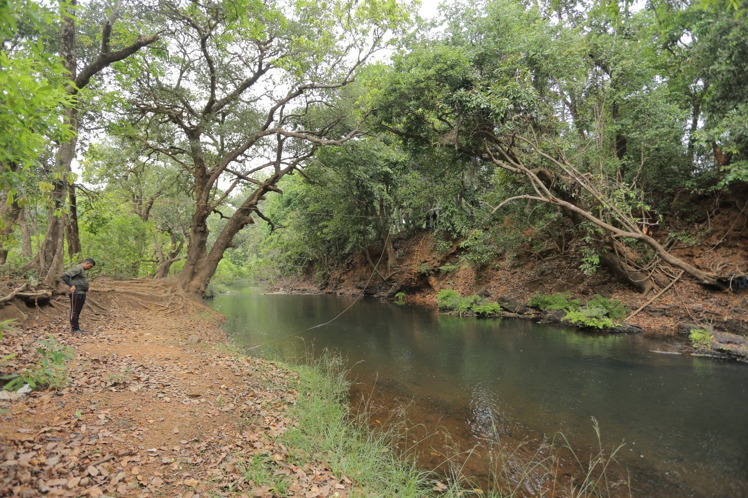 North Goa : Relax by the River - Forest Day Out with Goan Cuisine