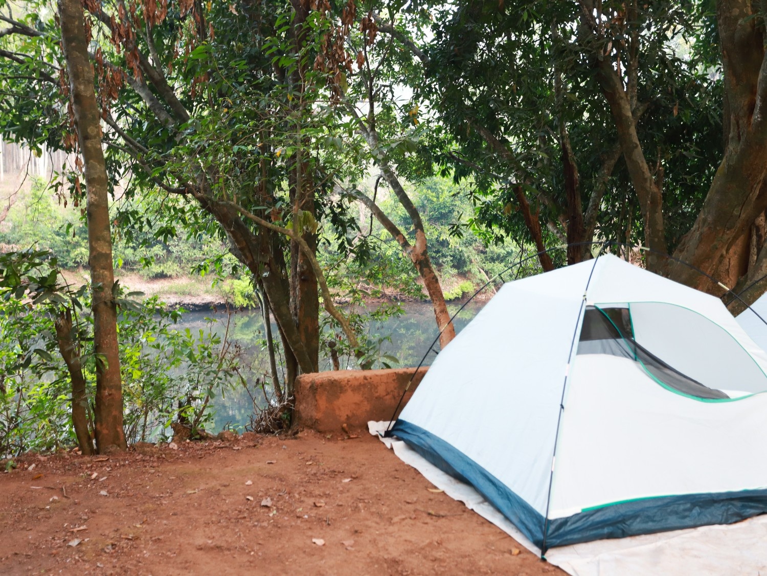 North Goa : Wildlife After Dark - Goa Overnight Herping Trail and Forest Camping