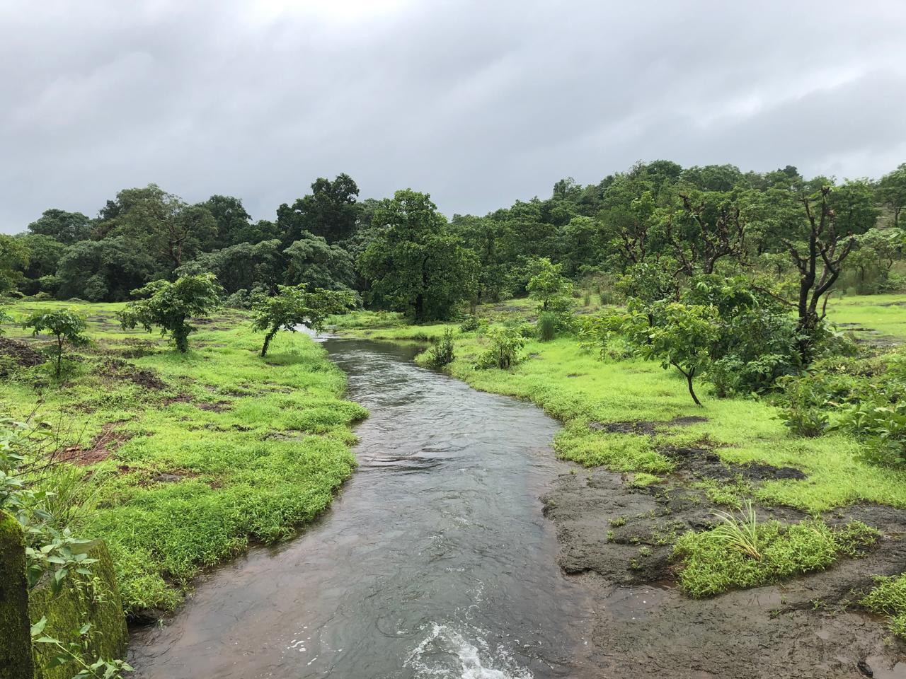 South Goa : Caves Waterfall in Rivona