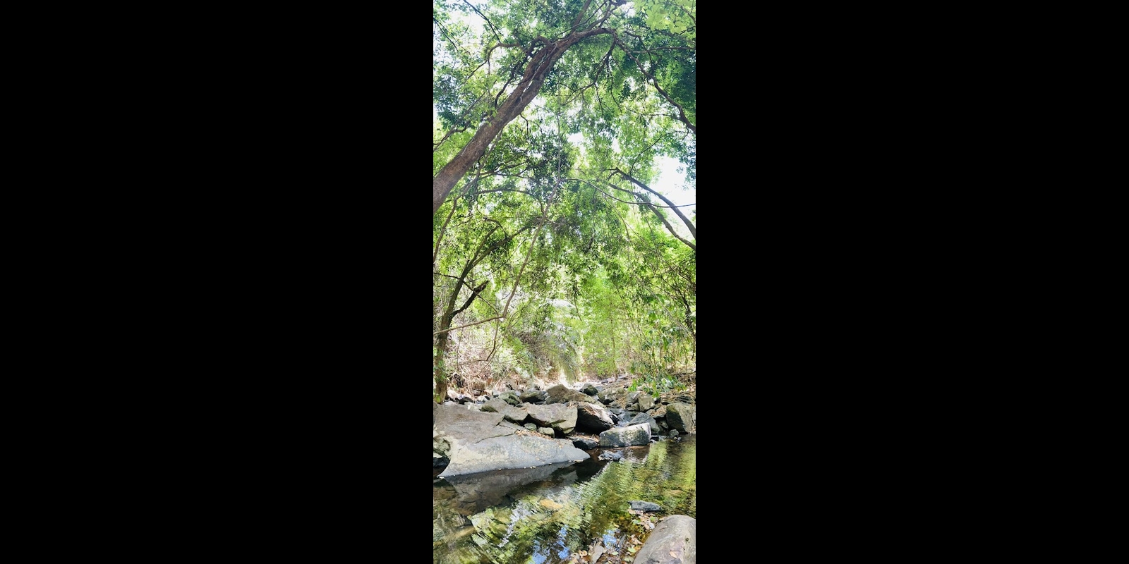 South Goa : Jeep Safari and Trek to Mainapi Waterfall with Naturalist