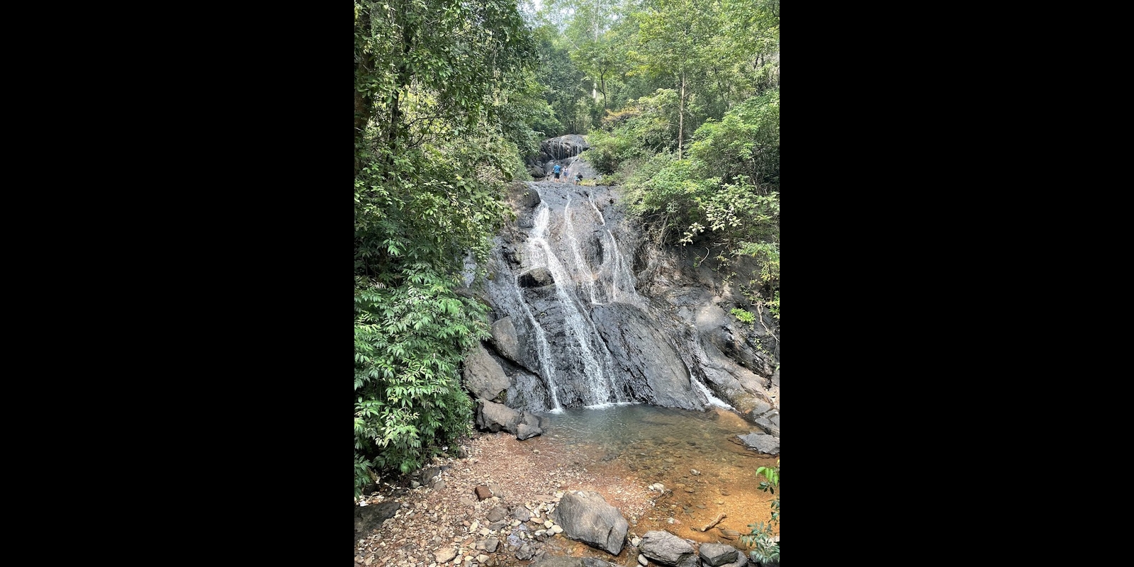 South Goa : Jeep Safari and Trek to Mainapi Waterfall with Naturalist