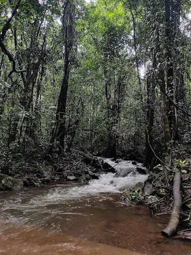 South Goa : Jeep Safari and Trek to Mainapi Waterfall with Naturalist