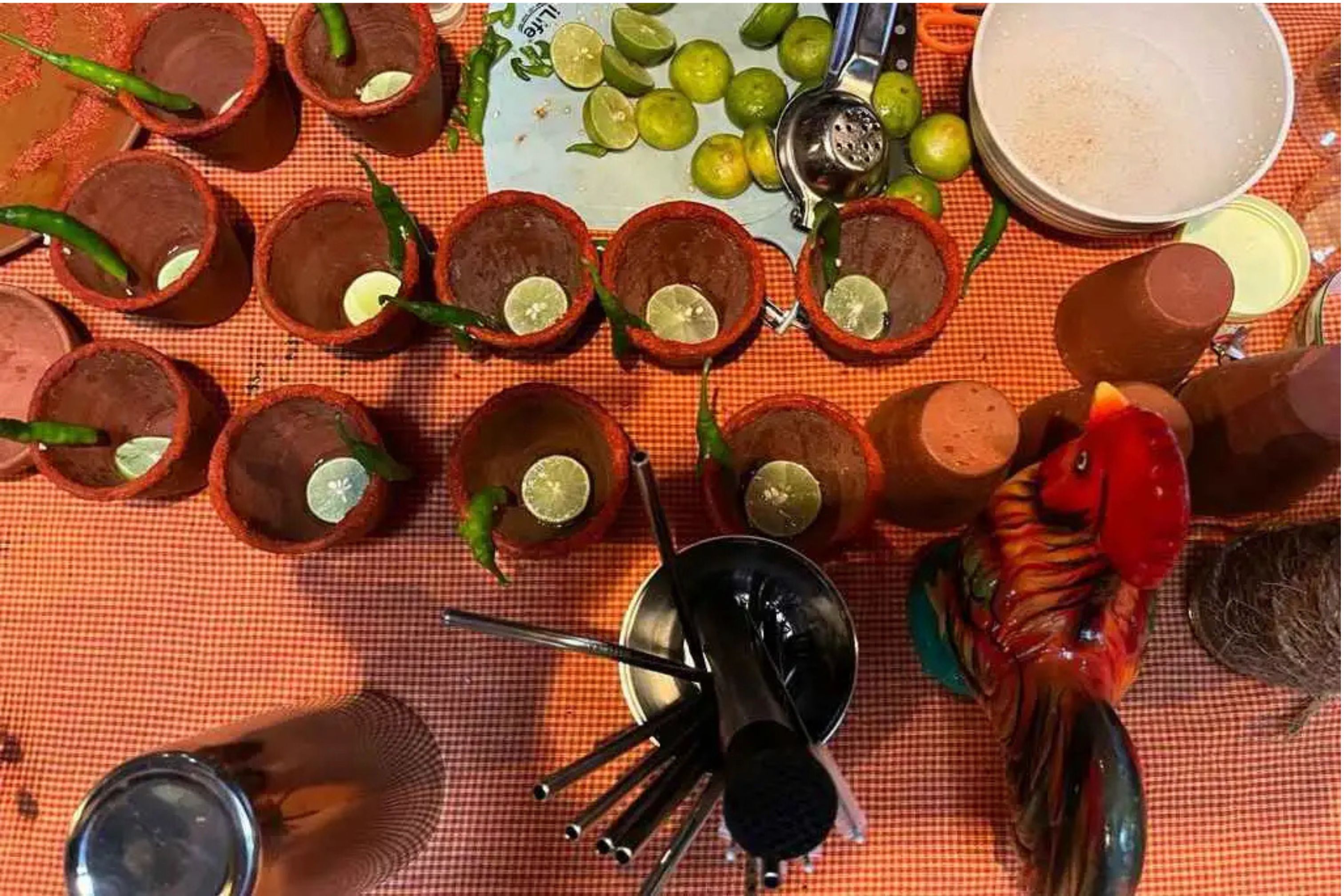 South Goa Vhaall : The Aqua-Fresco Picnic