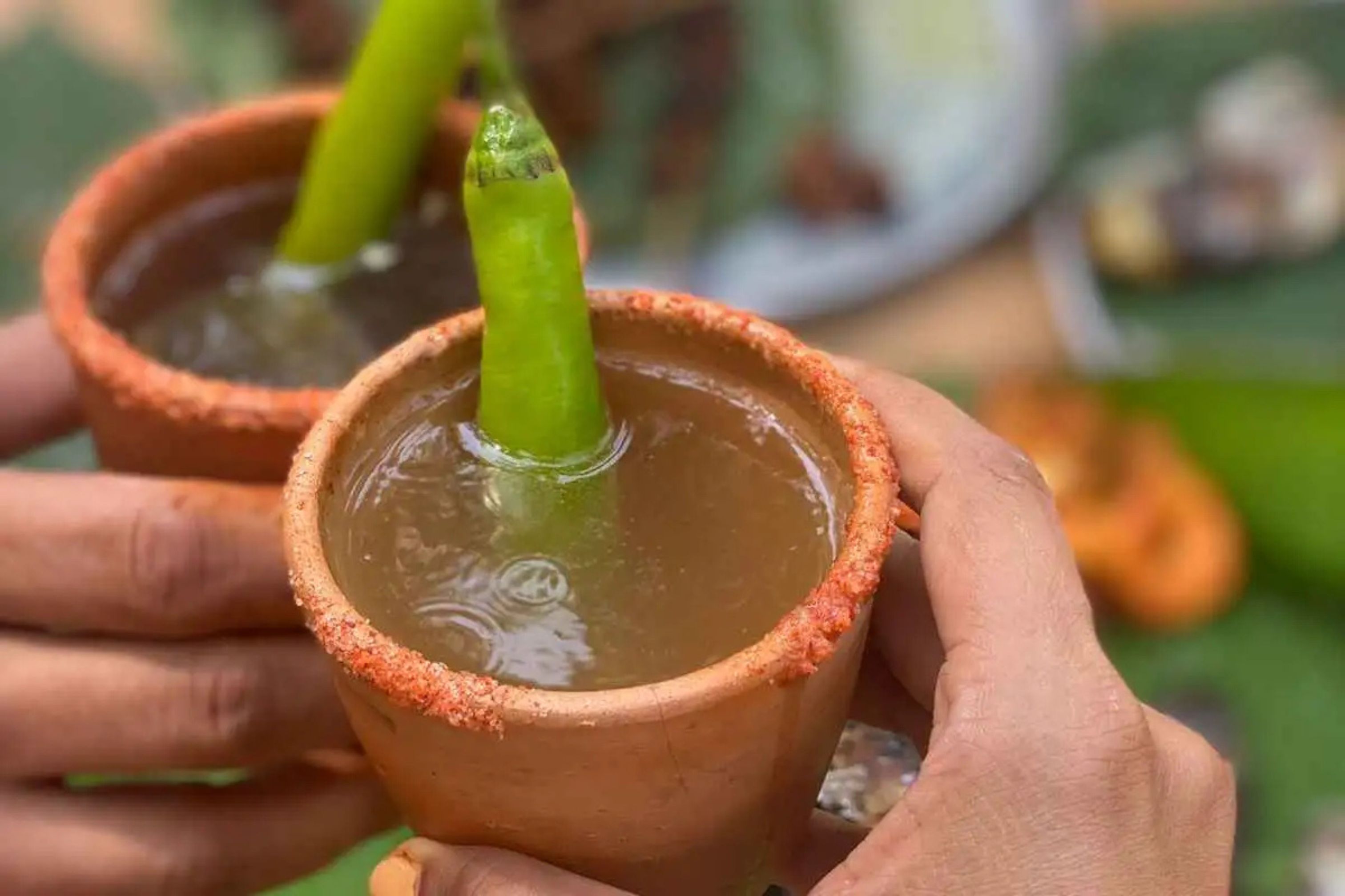 South Goa Vhaall : The Aqua-Fresco Picnic