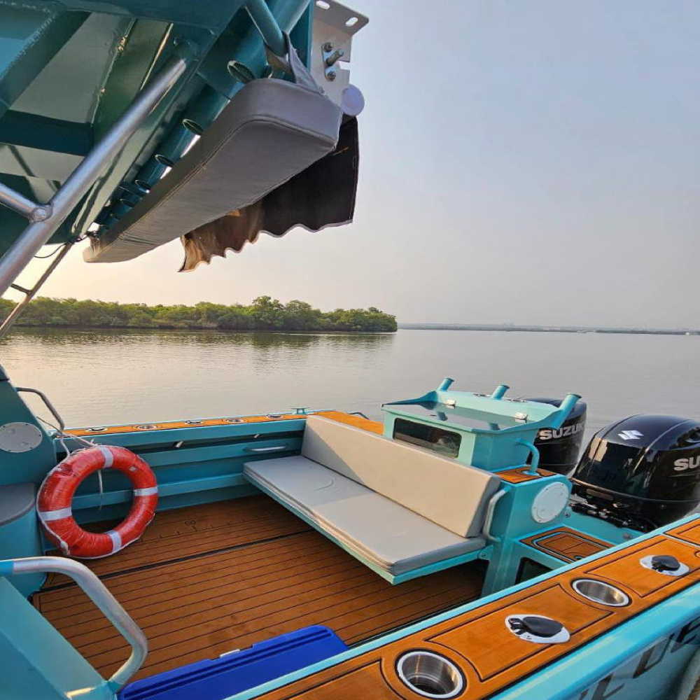 Goa : Blue Fin Yacht (6 Pax)