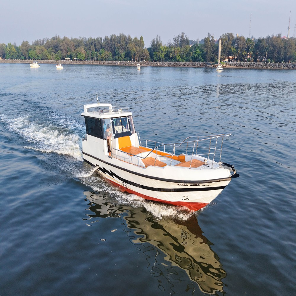 North Goa : Sea Horse Yacht (Off-Peak Hours) (13 Pax)