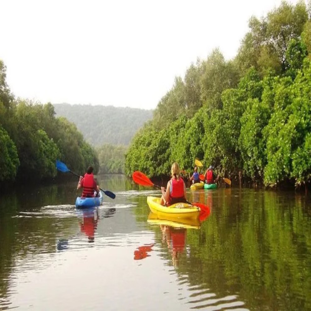 South Goa: Agonda River Backwater Kayaking