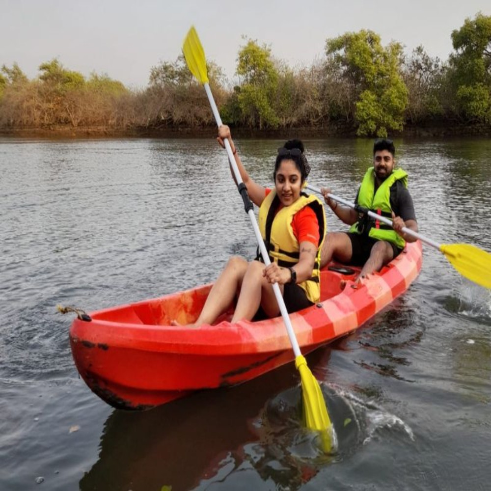 South Goa: Agonda River Backwater Kayaking