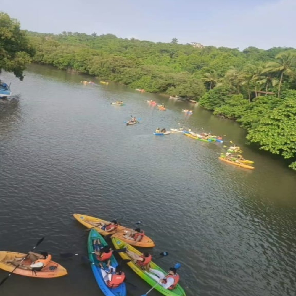South Goa: Agonda River Backwater Kayaking