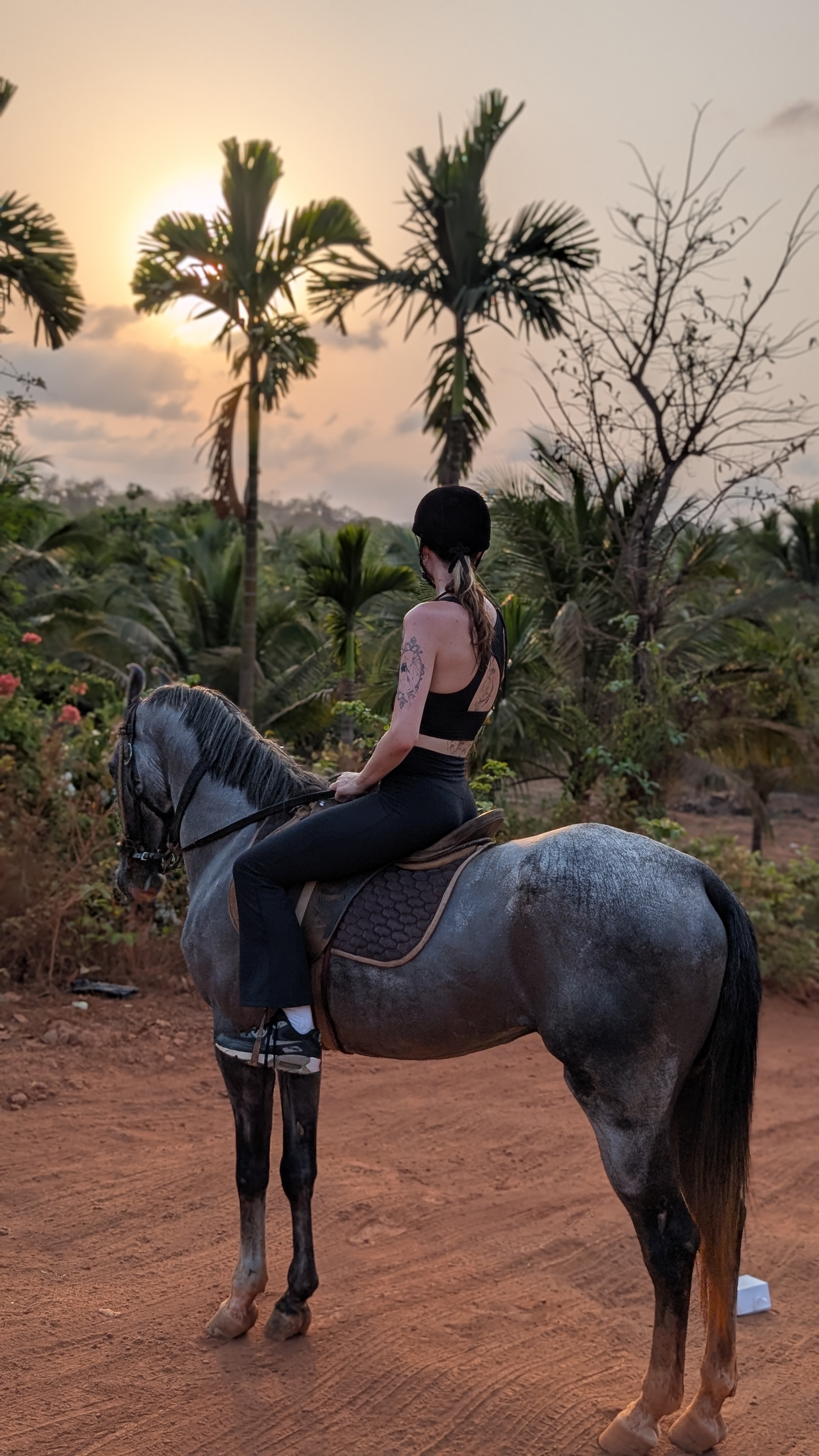 South Goa: Guided Jungle Horse Riding Tour