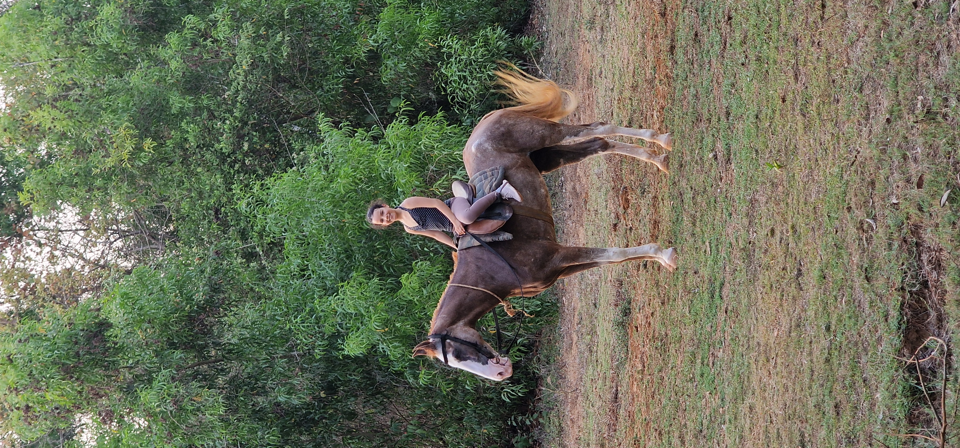 South Goa: Guided Jungle Horse Riding Tour