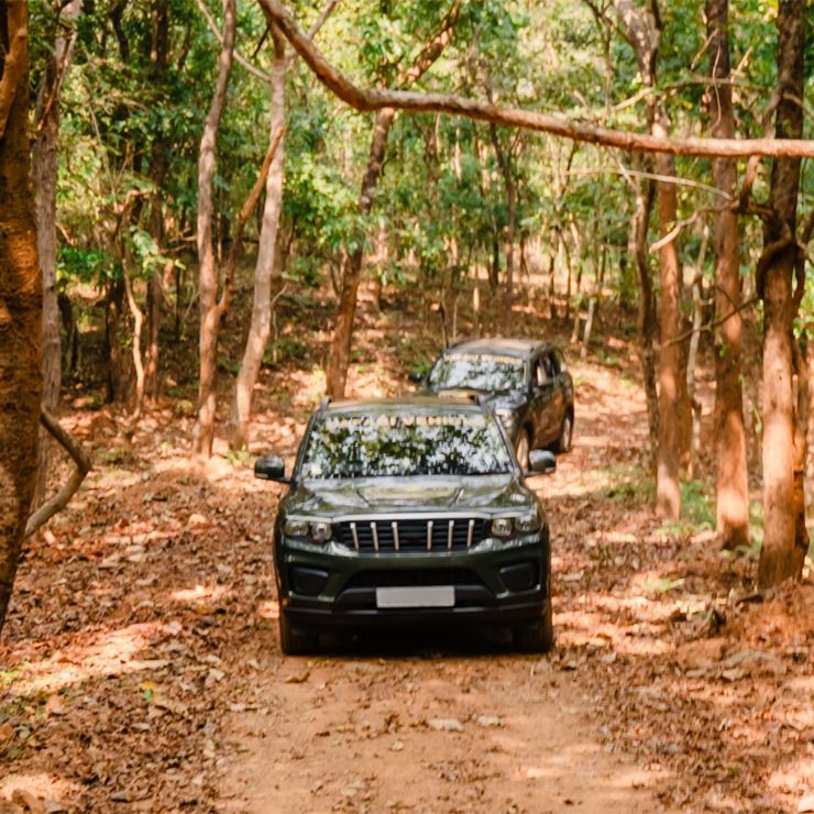 South Goa: Netravali Nature Jeep Safari