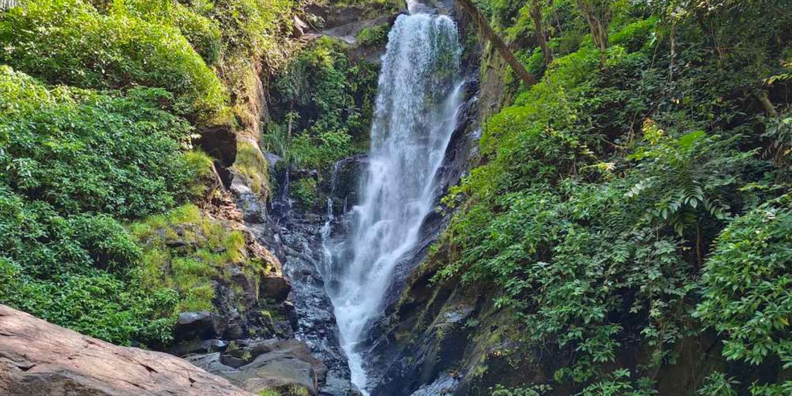 South Goa: Netravali Nature Jeep Safari