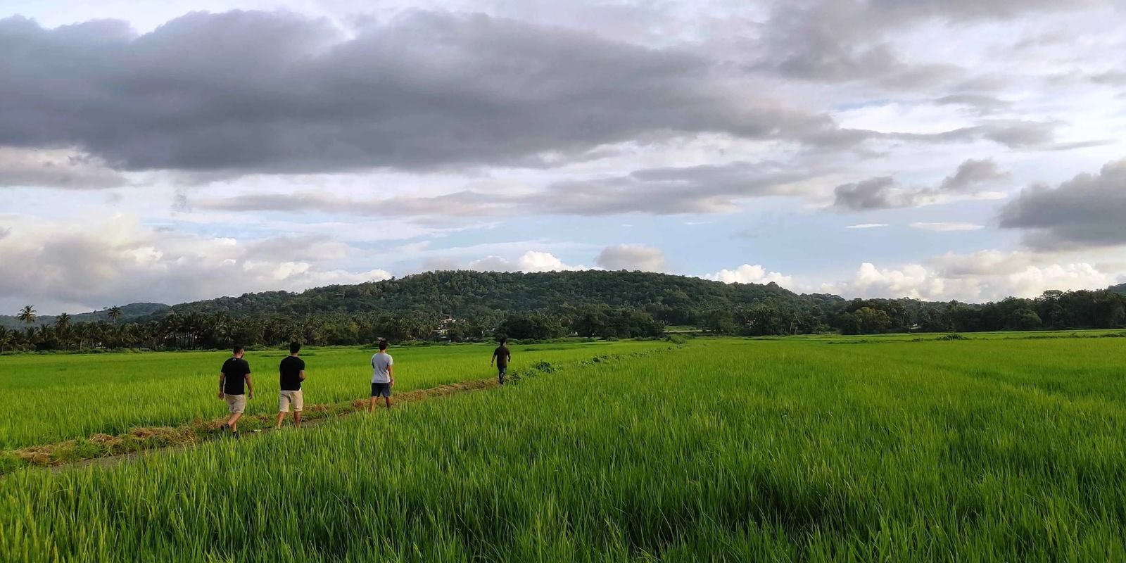 South Goa: Saxti-chi Pasoi Heritage Walk