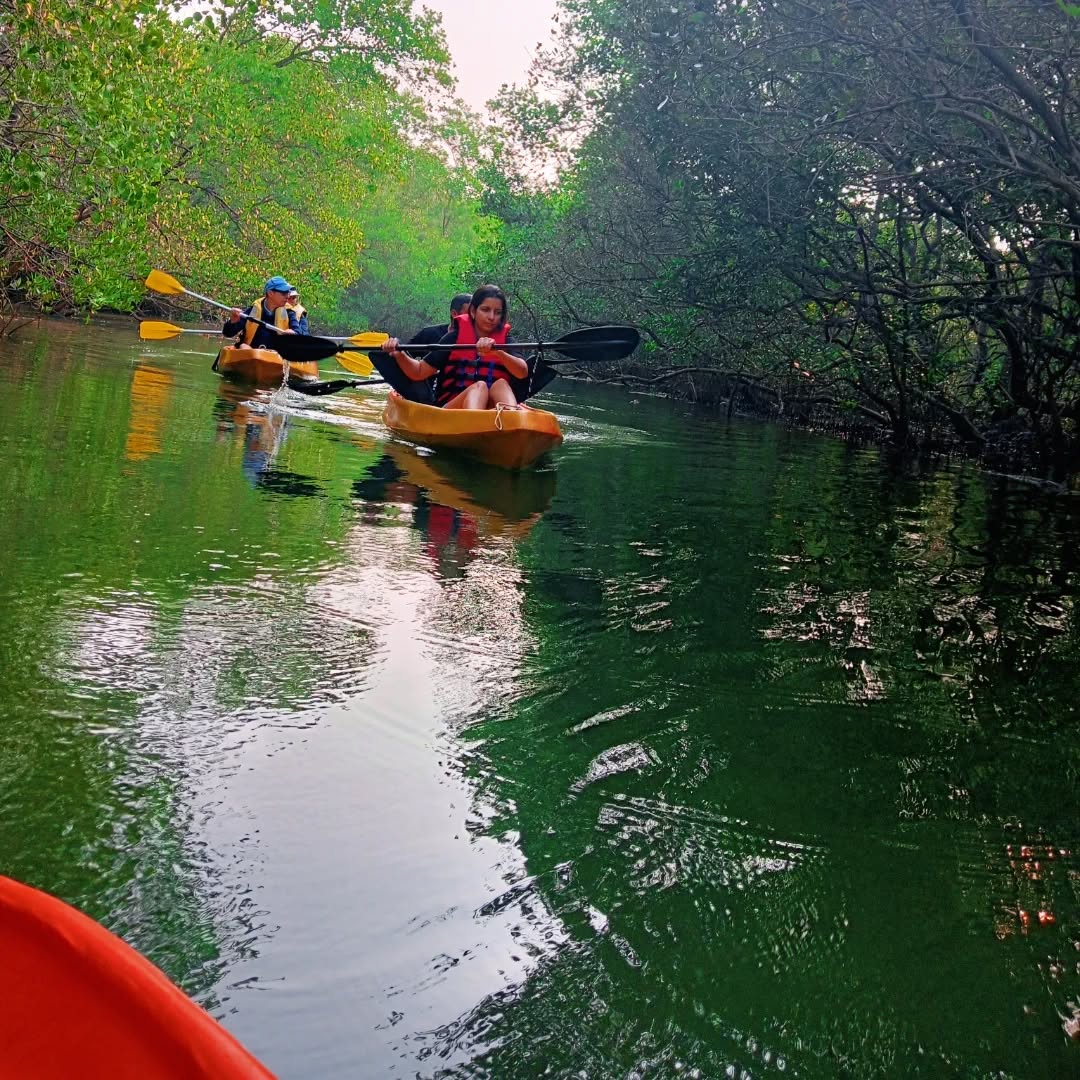 North Goa : Kayaking Activity for an Individual