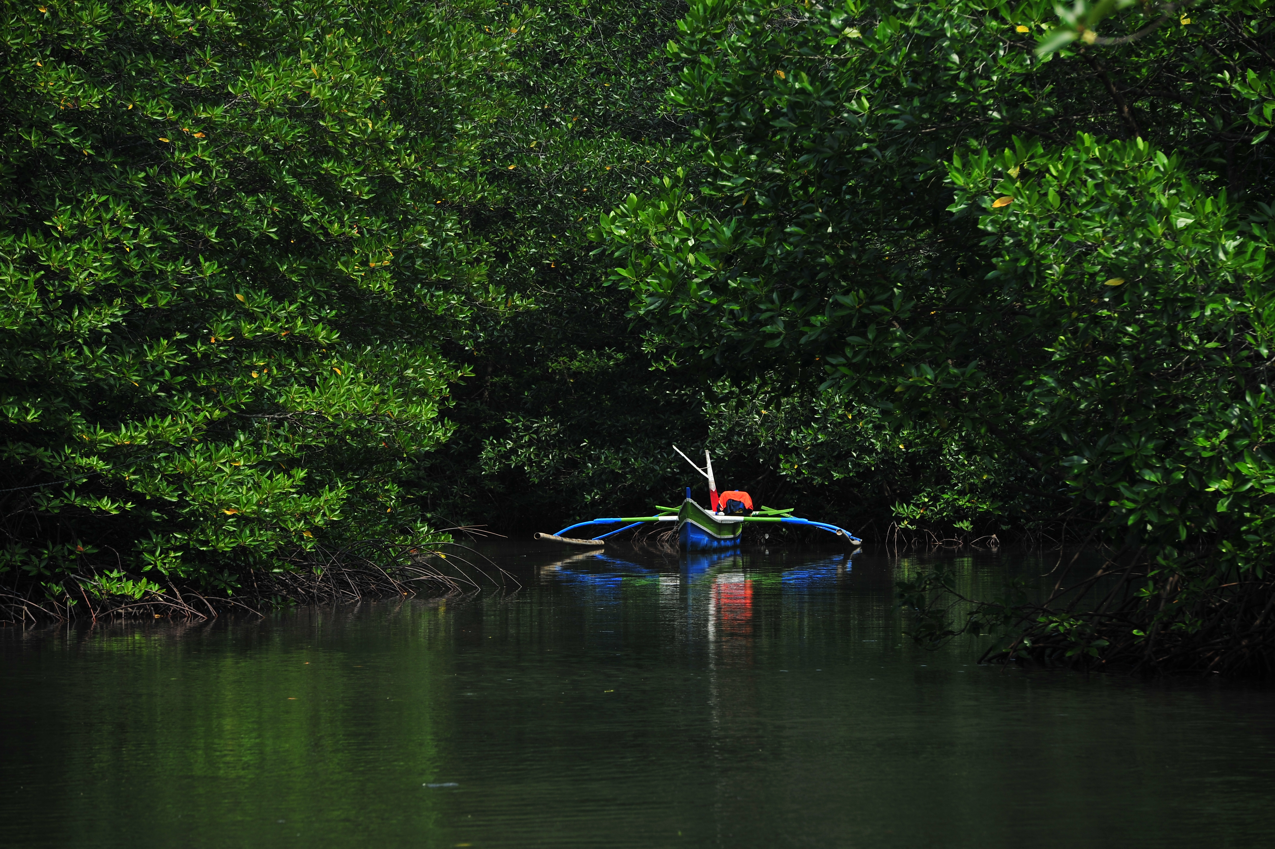 North Goa : Kayaking at Siolim