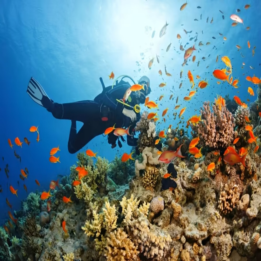 North Goa : Scuba & Water Sports Combo