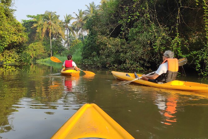 Sal Backwaters & Mangrove Magic – A Trip for Couples