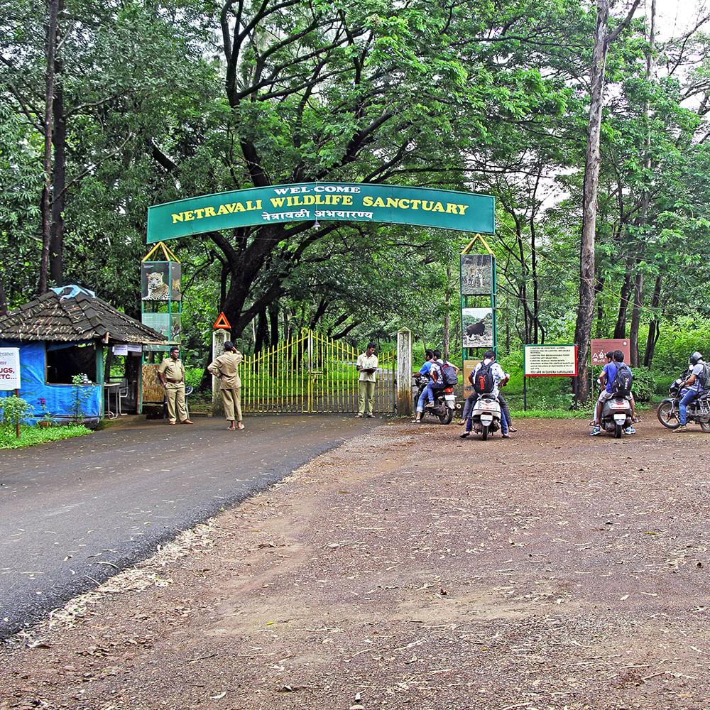 🌿 3. Netravali Wildlife Sanctuary – Hidden Nature Escape
