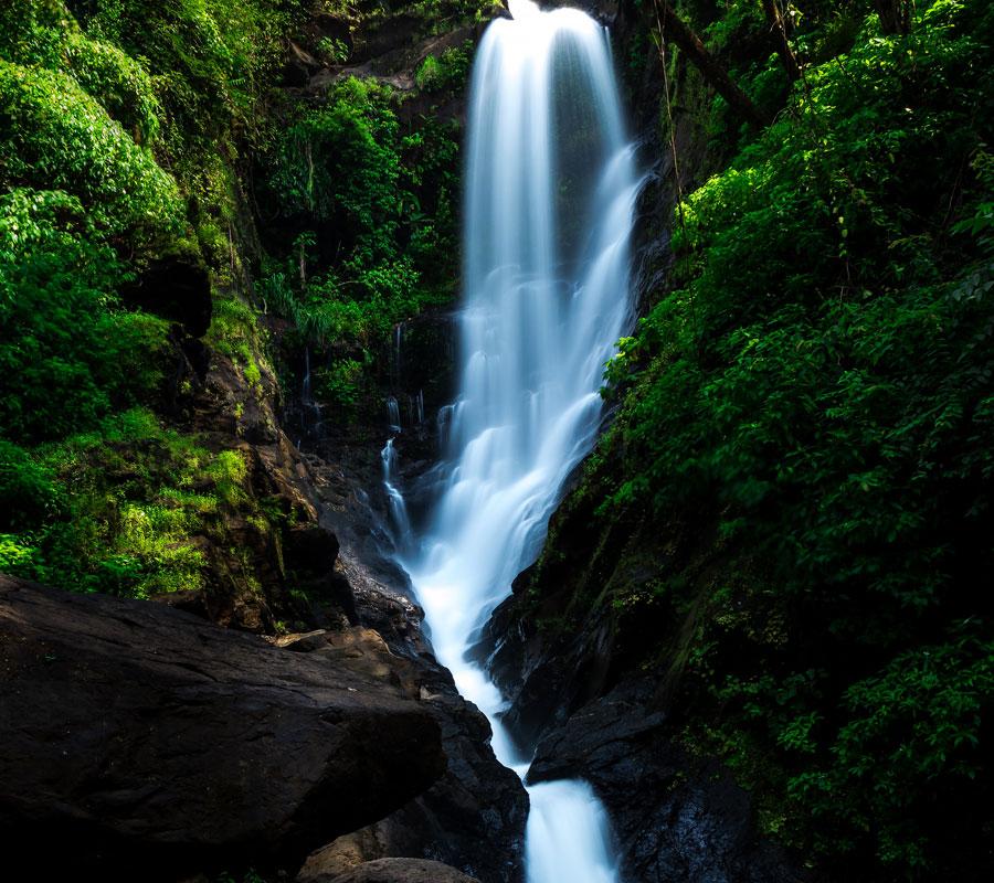 🌿 3. Netravali Wildlife Sanctuary – Hidden Nature Escape