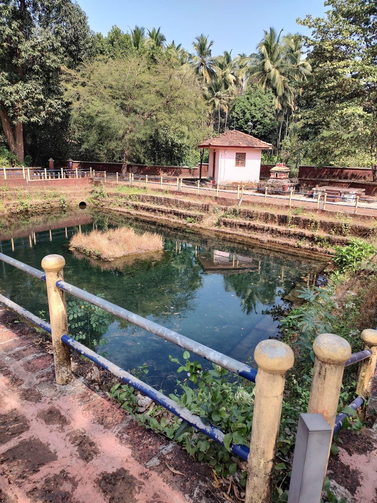 🌿 3. Netravali Wildlife Sanctuary – Hidden Nature Escape