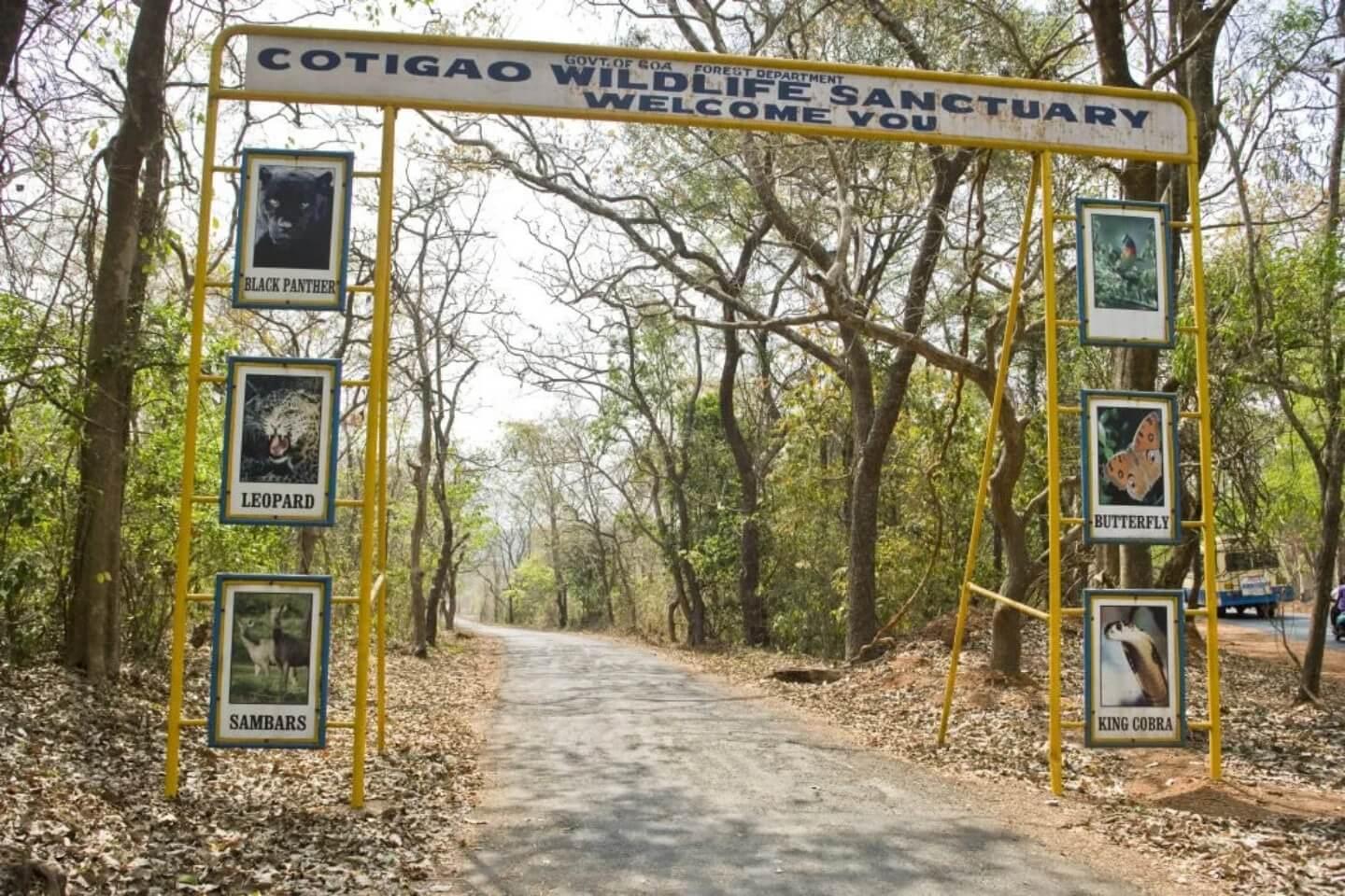 🌿 3. Netravali Wildlife Sanctuary – Hidden Nature Escape