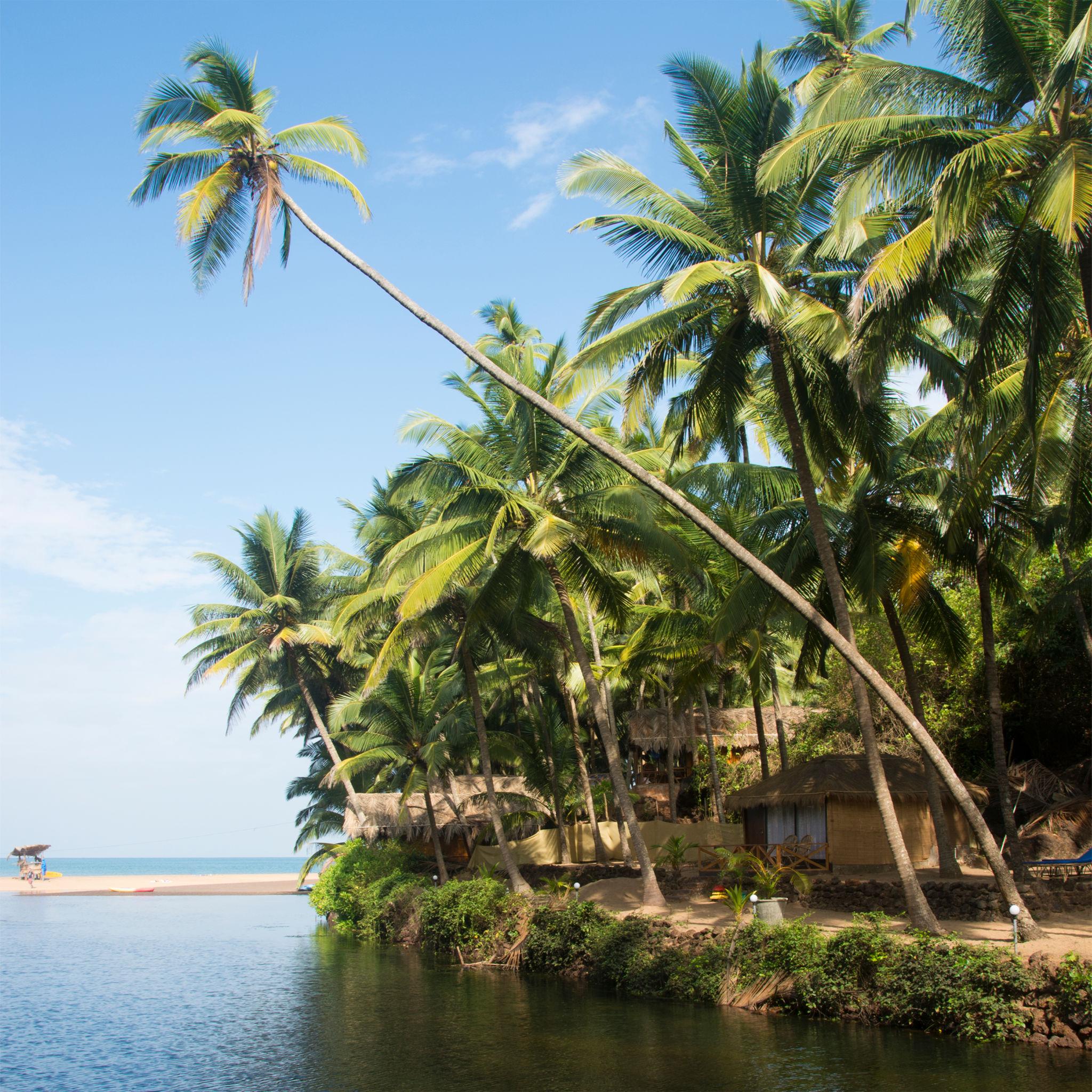 10. Cola Beach – Goa's Hidden Tropical Paradise
