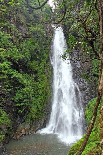 3. Netravali Waterfall – The Heart of South Goa's Wilderness