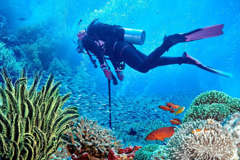 📅 Day 2: Scuba Diving in Goa – Choose Your Perfect Package