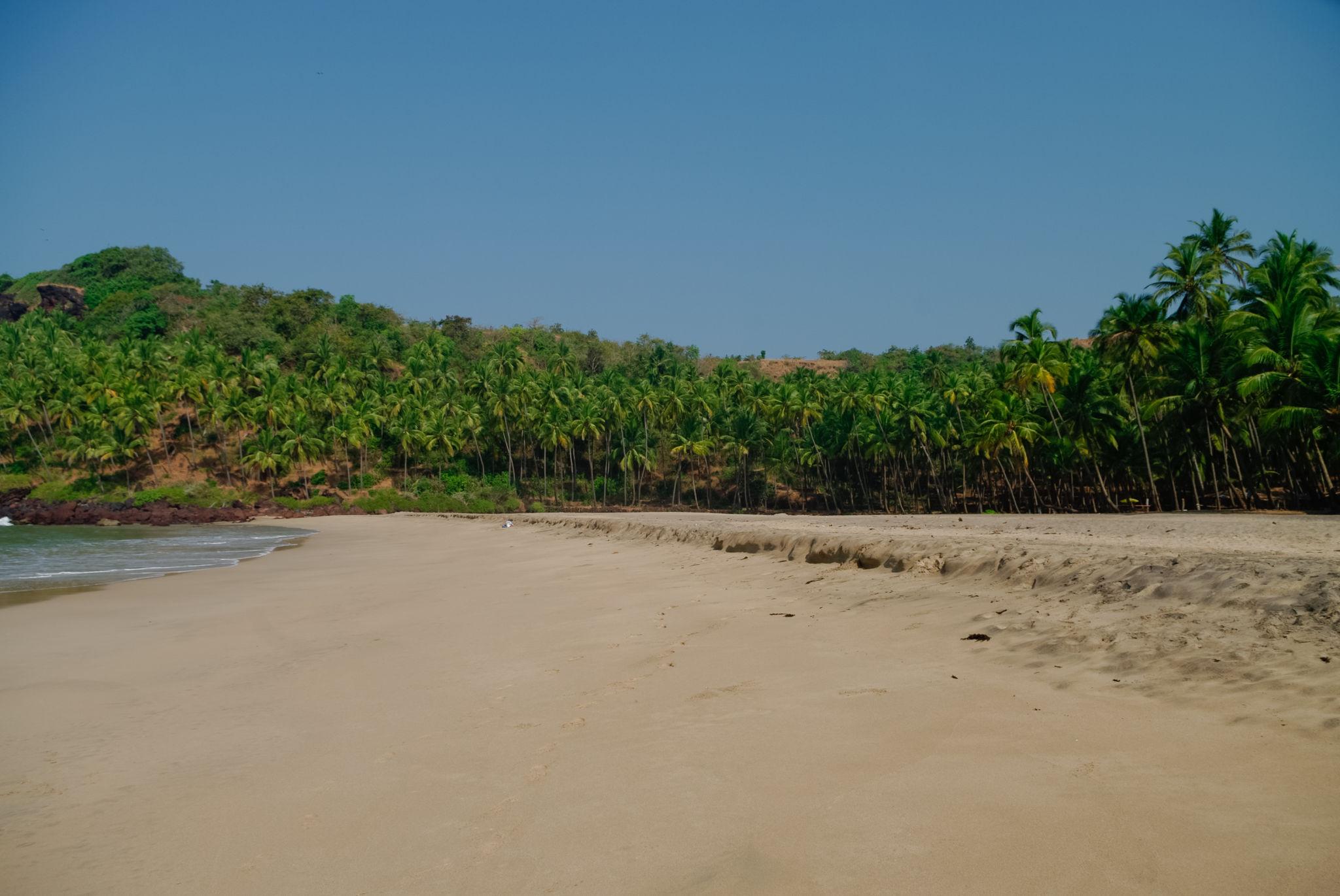 Introduction to Palolem Beach
