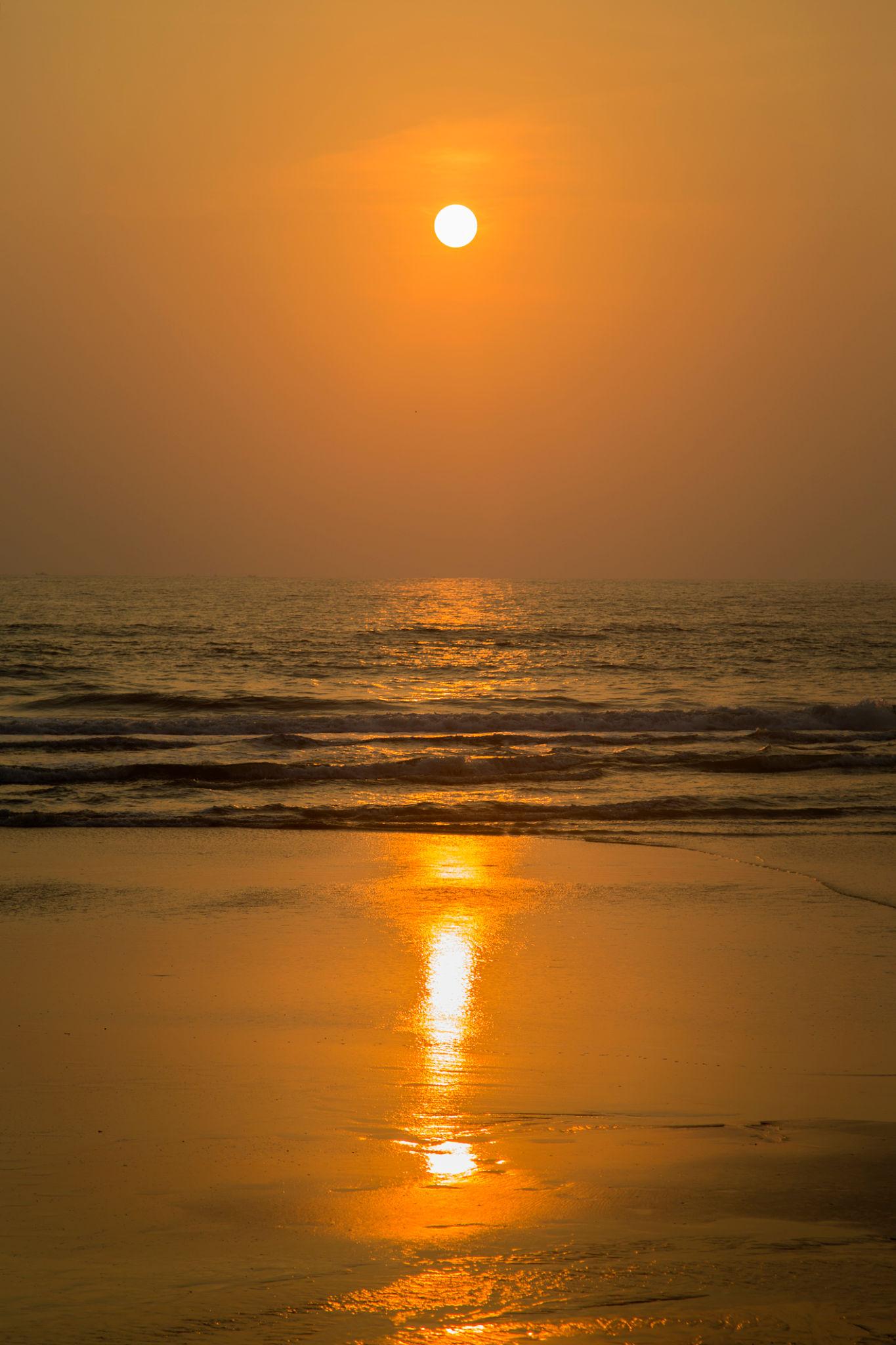 Agonda Beach vs Palolem Beach: Which South Goa Beach Is Better for Your Vacation?