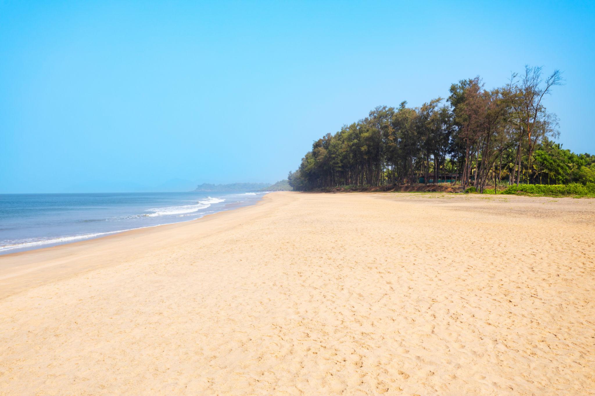 4. Galgibaga Beach – The Turtle Nesting Beach of Goa