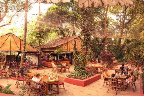 Discover Hidden Cafés