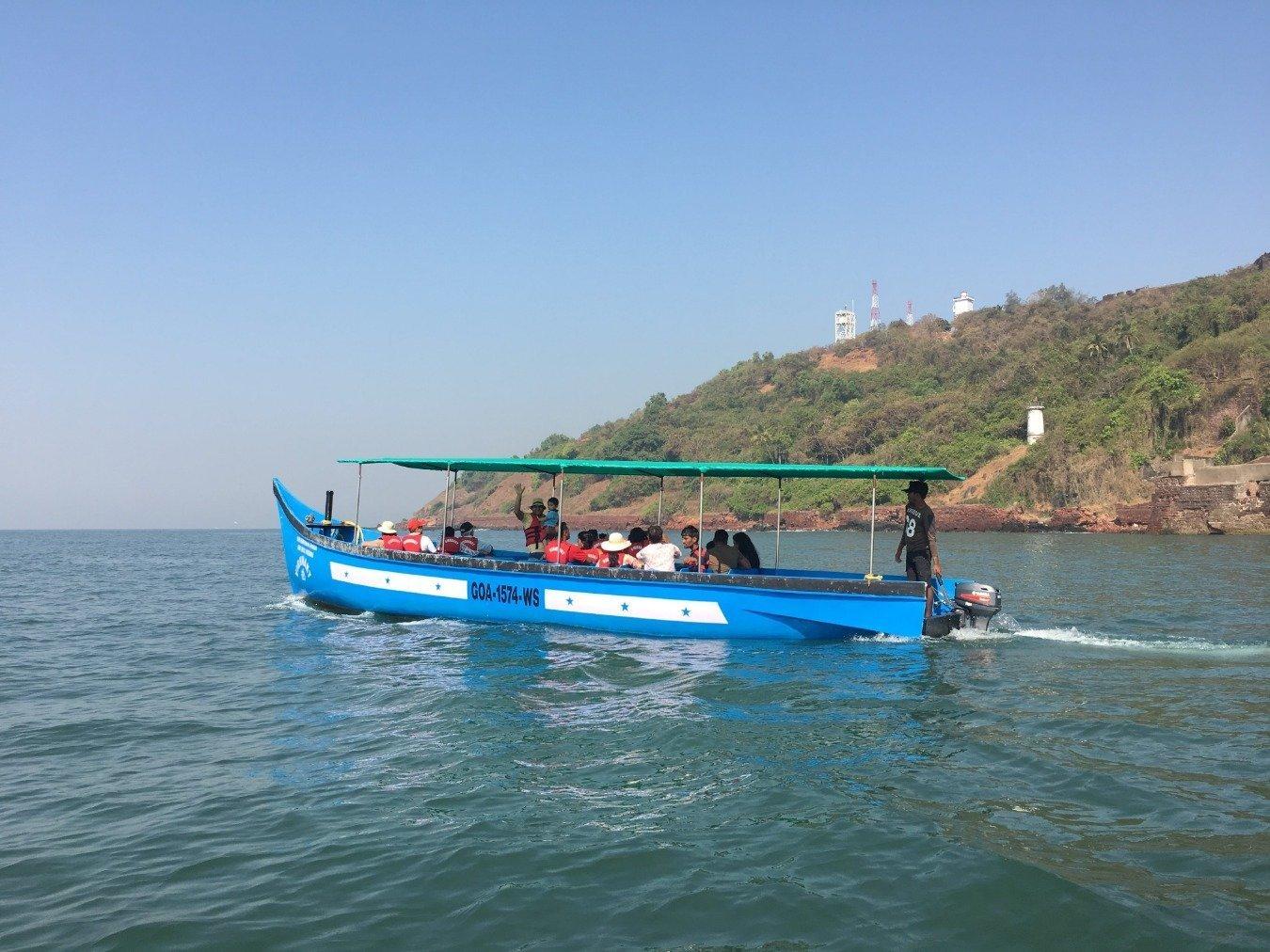 Go Dolphin Watching