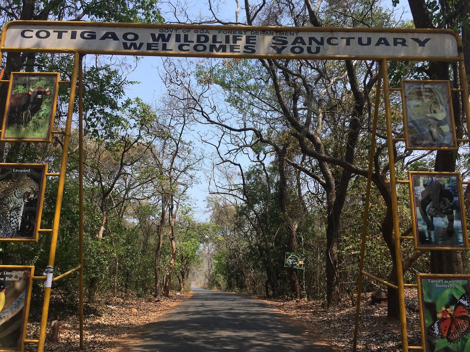 Explore Cotigao Wildlife Sanctuary