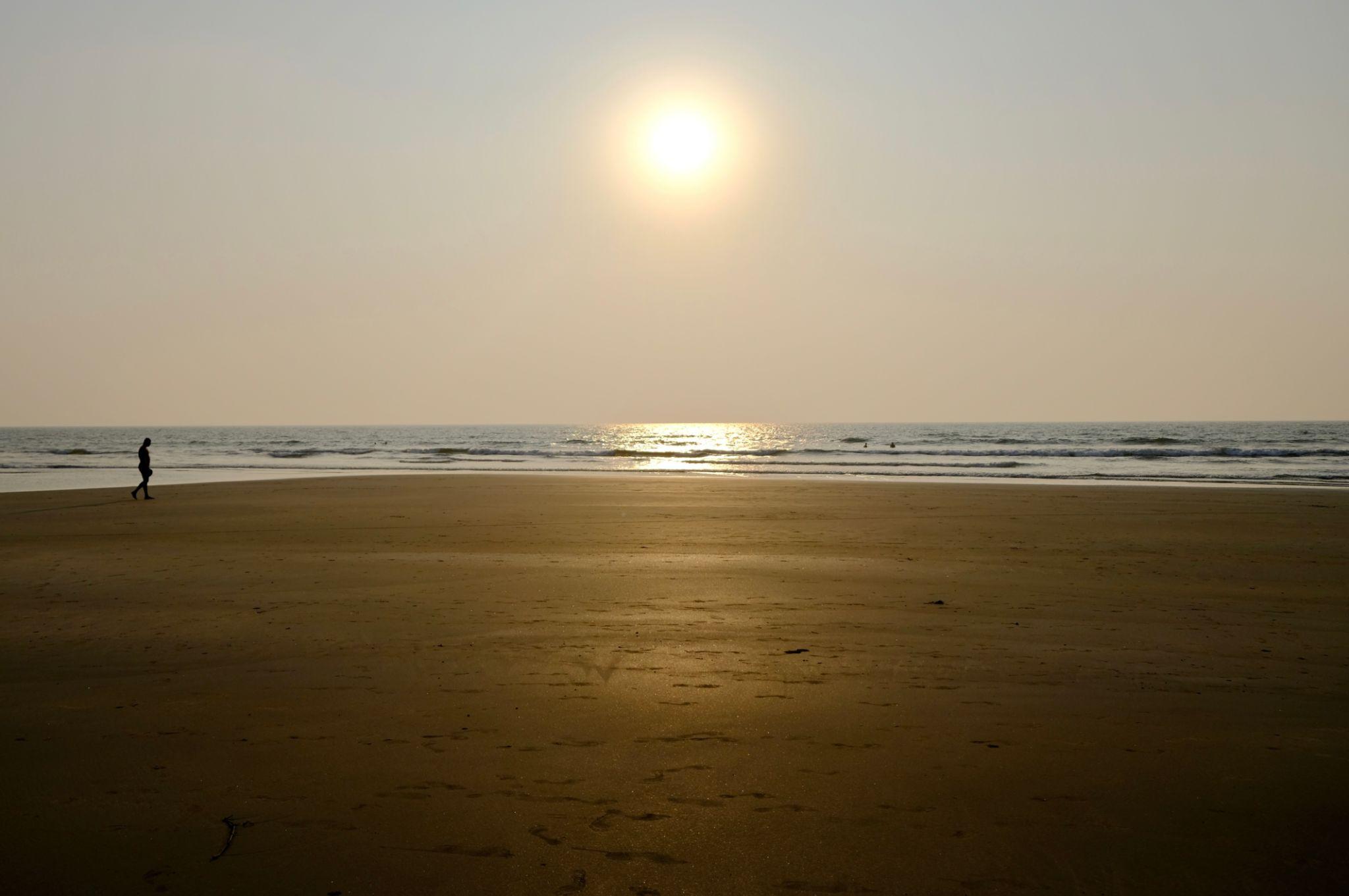 🧭 January to March (Peak → Shoulder)