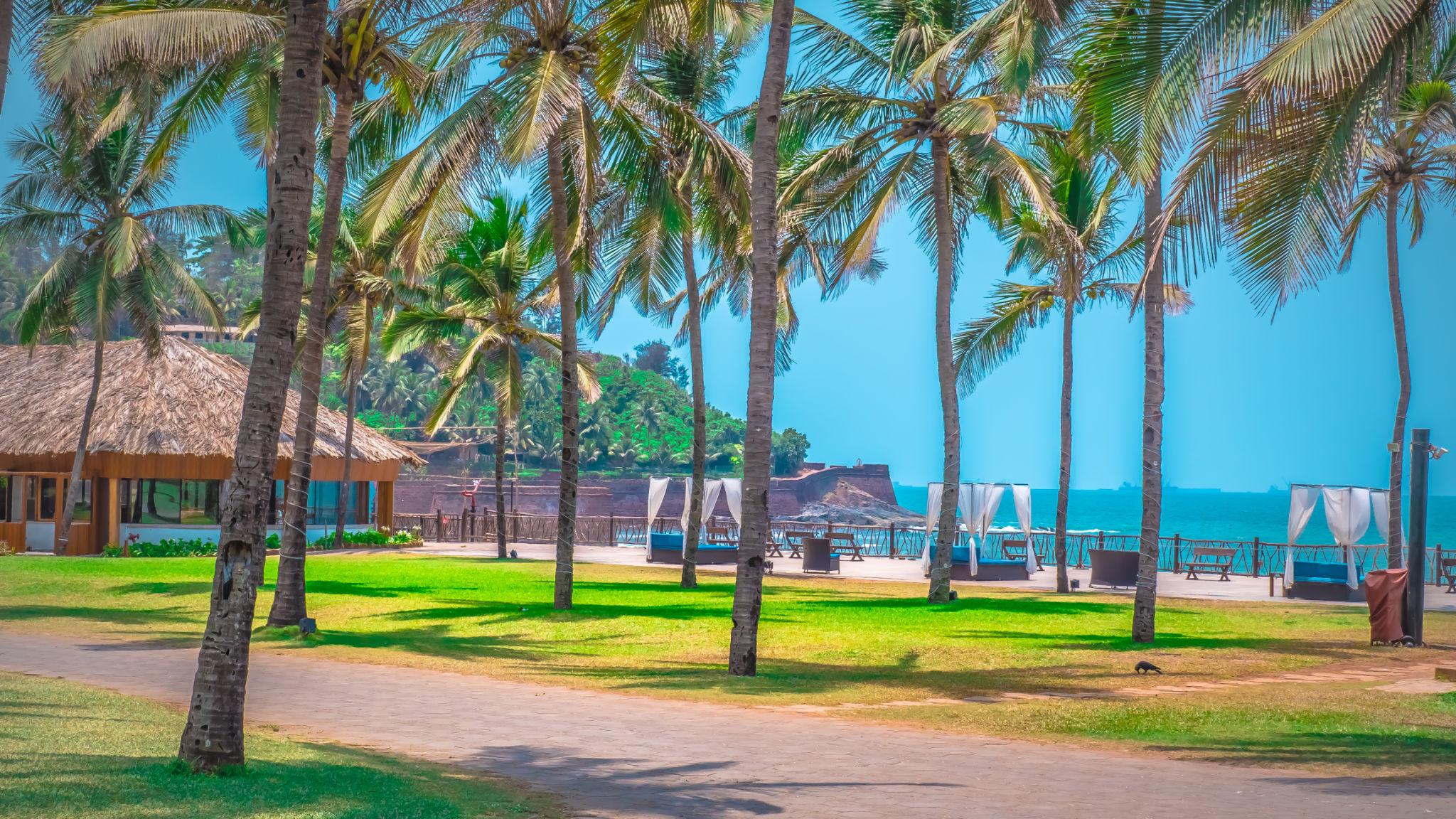 💑 Best Time to Visit Goa for Couples