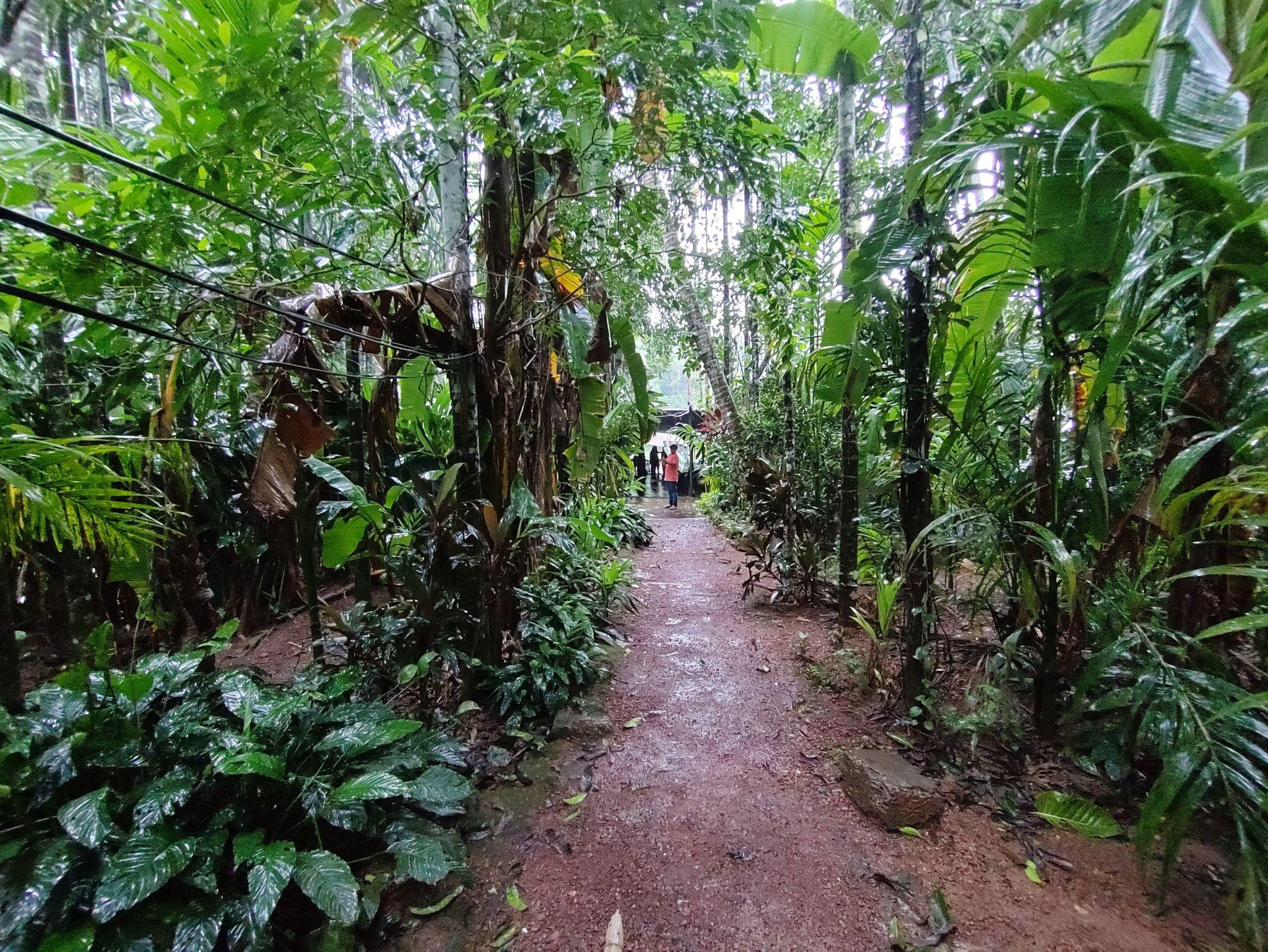 🌴 Goa Weather Overview (Quick Snapshot)