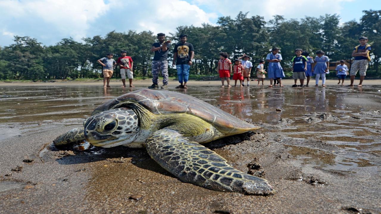 Day 2: Explore Hidden & Chill Spots