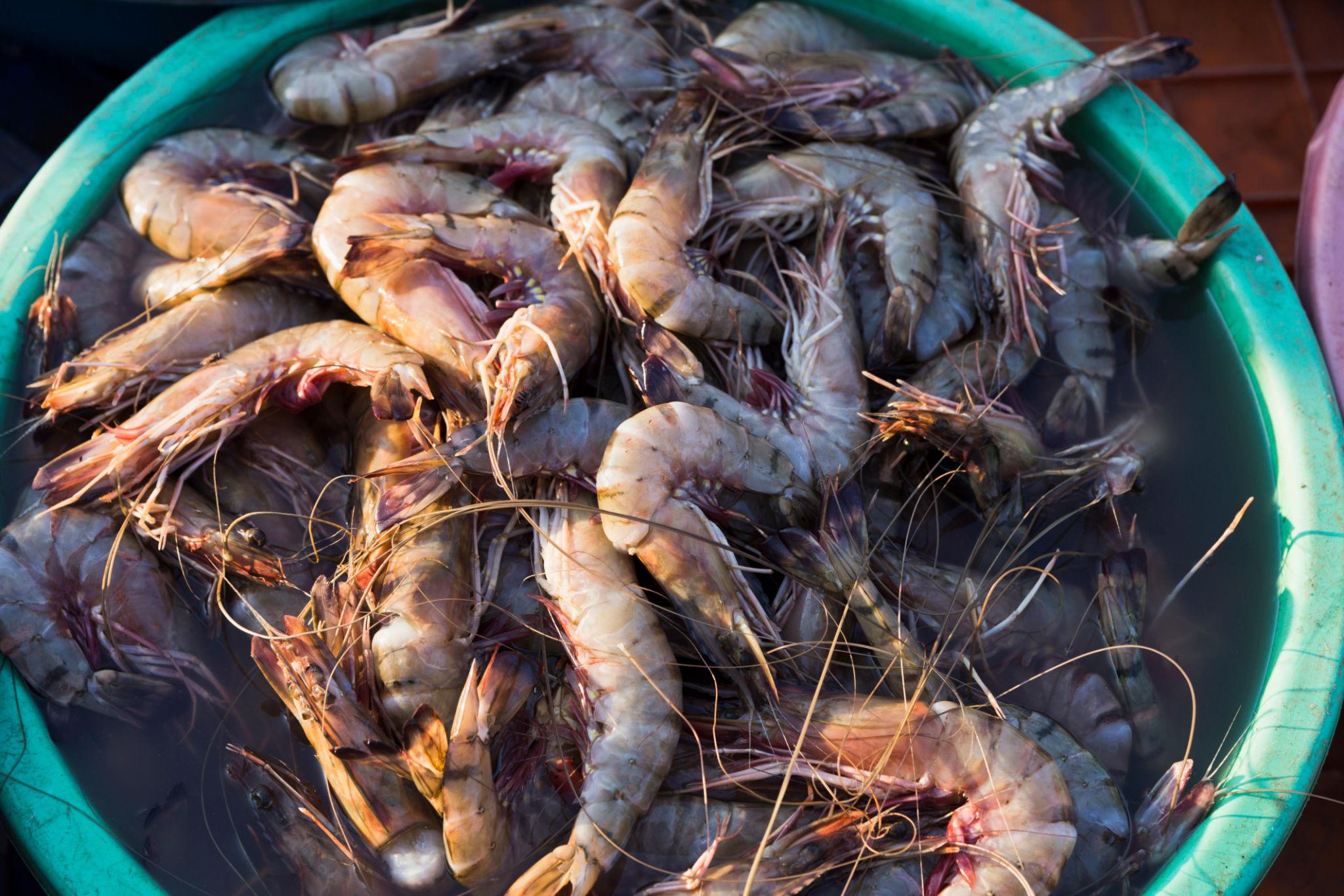 Goa Budget Tips (SAVE BIG MONEY)